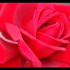 20120710_035